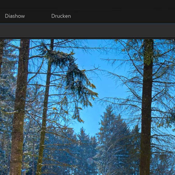 Con CyberlLnk PhotoDirector, sfruttando l'AI - Editare le tua foto non è mai stato così semplice