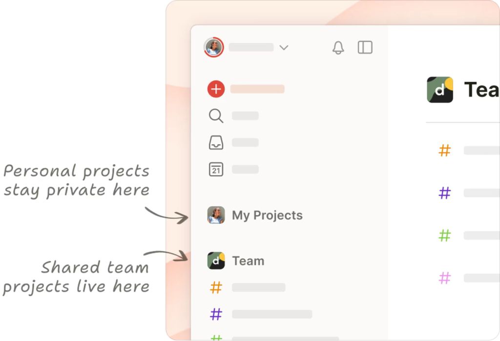 Todoist è abbastanza semplice e intuitivo per far sì che il tuo team possa mettersi subito al lavoro